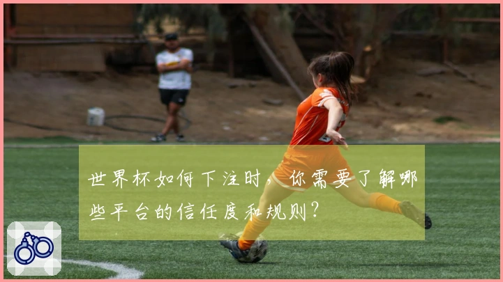 世界杯如何下注时，你需要了解哪些平台的信任度和规则？