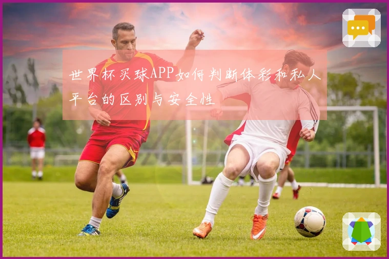 世界杯买球APP如何判断体彩和私人平台的区别与安全性