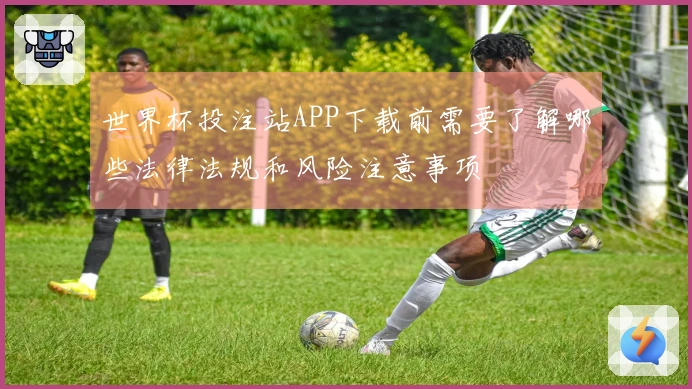 世界杯投注站APP下载前需要了解哪些法律法规和风险注意事项