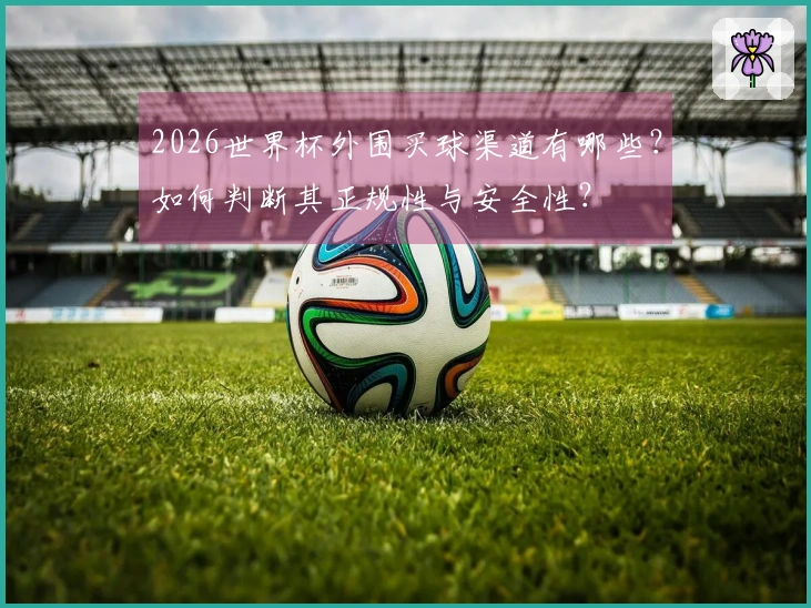 2026世界杯外围买球渠道有哪些？如何判断其正规性与安全性？