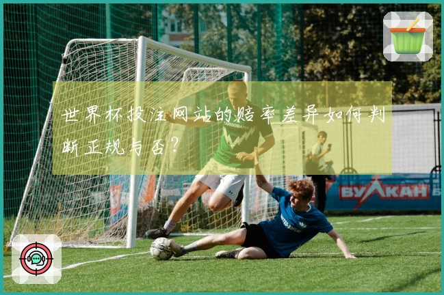 世界杯投注网站的赔率差异如何判断正规与否？