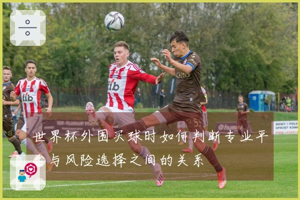 世界杯外围买球时如何判断专业平台与风险选择之间的关系