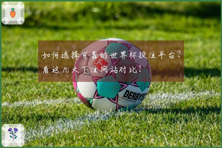 如何选择可靠的世界杯投注平台？看这几大下注网站对比！