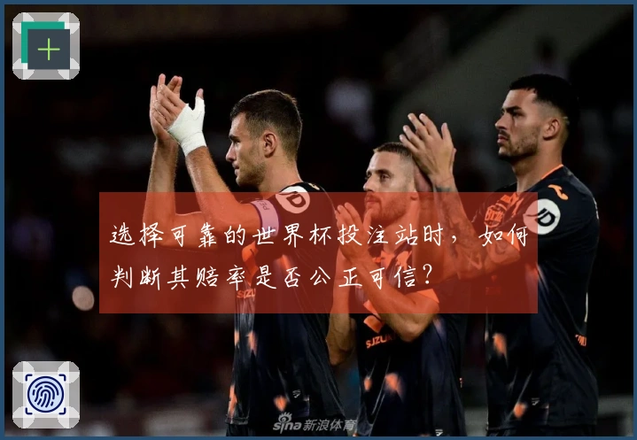选择可靠的世界杯投注站时，如何判断其赔率是否公正可信？