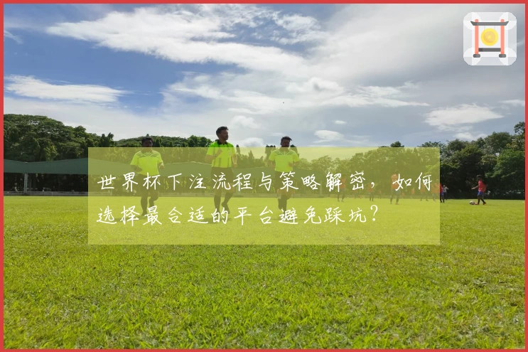 世界杯下注流程与策略解密，如何选择最合适的平台避免踩坑？