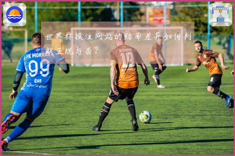 世界杯投注网站的赔率差异如何判断正规与否？