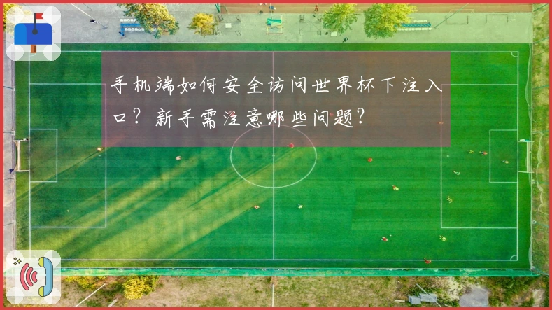 手机端如何安全访问世界杯下注入口？新手需注意哪些问题？