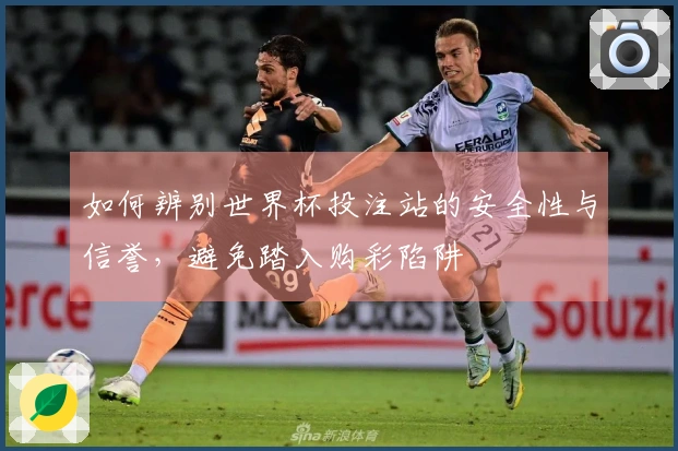 如何辨别世界杯投注站的安全性与信誉，避免踏入购彩陷阱