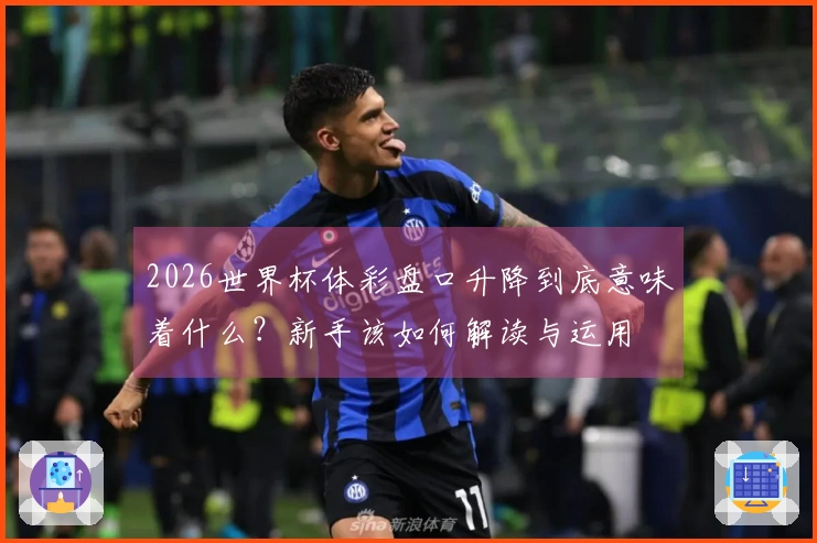 2026世界杯体彩盘口升降到底意味着什么？新手该如何解读与运用