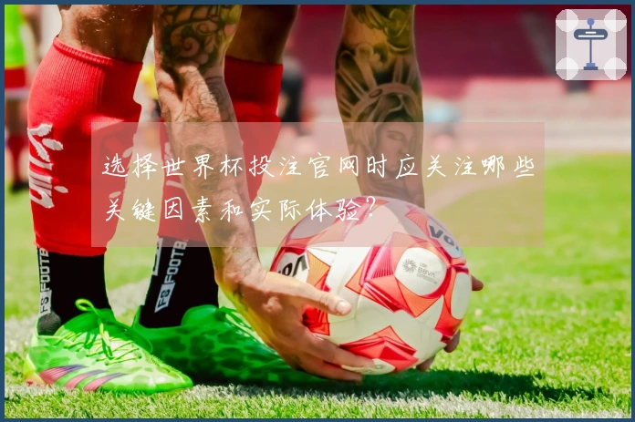 选择世界杯投注官网时应关注哪些关键因素和实际体验？