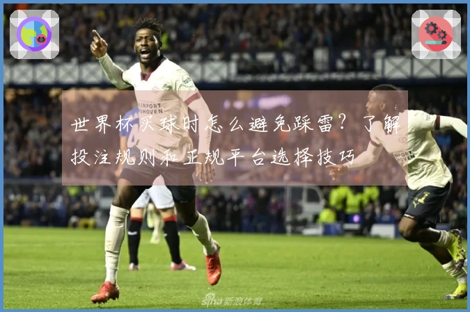 世界杯买球时怎么避免踩雷？了解投注规则和正规平台选择技巧