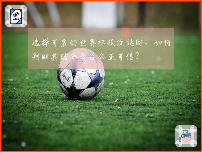 选择可靠的世界杯投注站时，如何判断其赔率是否公正可信？