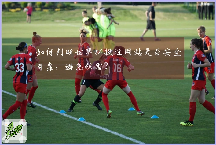 如何判断世界杯投注网站是否安全可靠，避免踩雷？