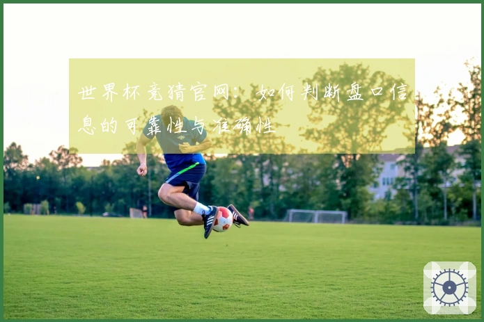 世界杯竞猜官网：如何判断盘口信息的可靠性与准确性