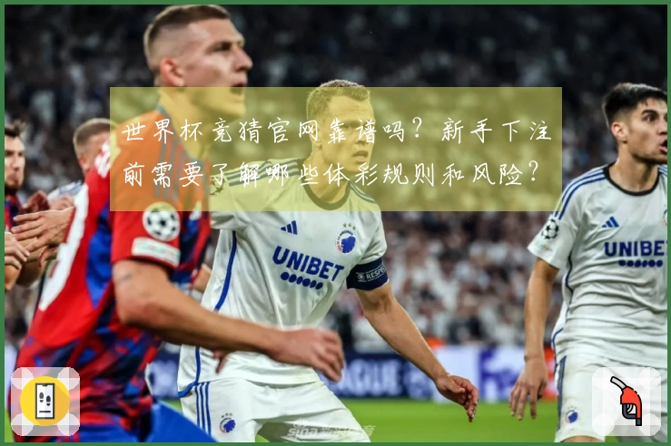 世界杯竞猜官网靠谱吗？新手下注前需要了解哪些体彩规则和风险？