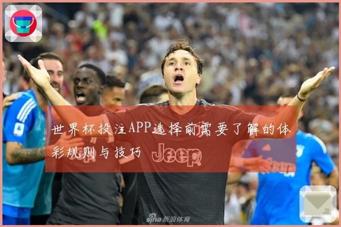 世界杯投注APP选择前需要了解的体彩规则与技巧