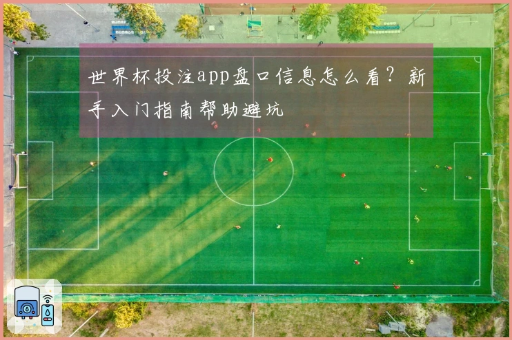 世界杯投注app盘口信息怎么看？新手入门指南帮助避坑