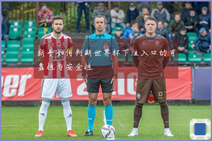 新手如何判断世界杯下注入口的可靠性与安全性