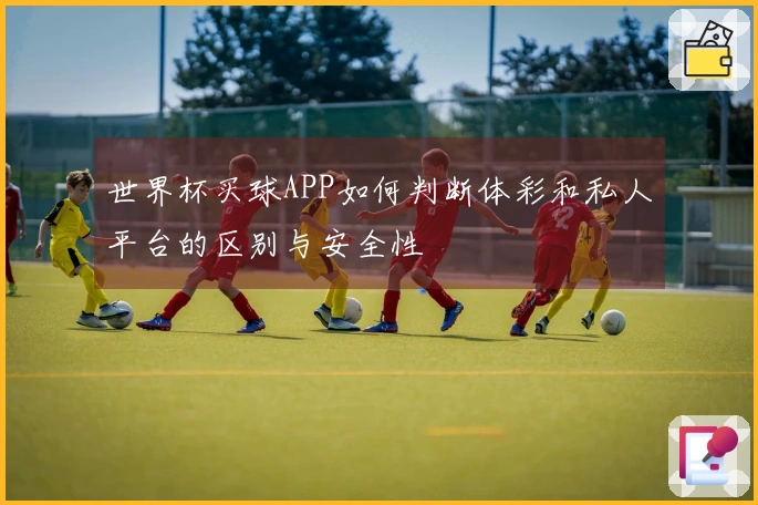 世界杯买球APP如何判断体彩和私人平台的区别与安全性
