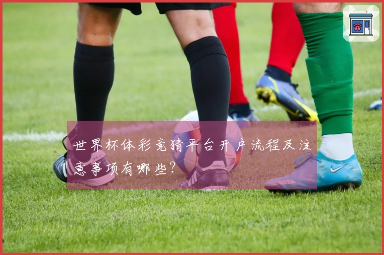世界杯体彩竞猜平台开户流程及注意事项有哪些？