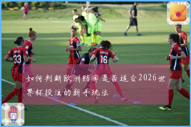 如何判断欧洲赔率是否适合2026世界杯投注的新手玩法