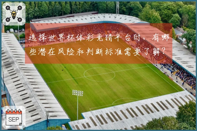 选择世界杯体彩竞猜平台时，有哪些潜在风险和判断标准需要了解？