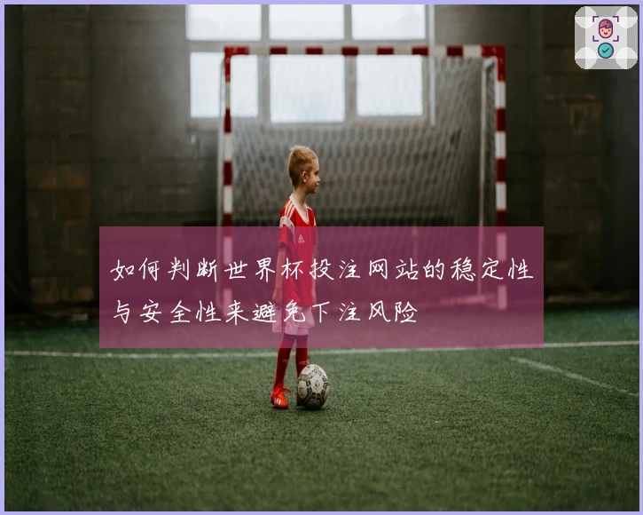 如何判断世界杯投注网站的稳定性与安全性来避免下注风险