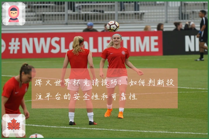 烽火世界杯竞猜技巧：如何判断投注平台的安全性和可靠性
