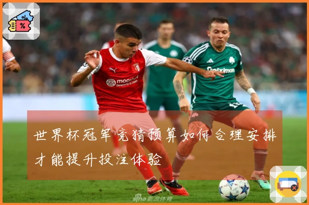 世界杯冠军竞猜预算如何合理安排才能提升投注体验