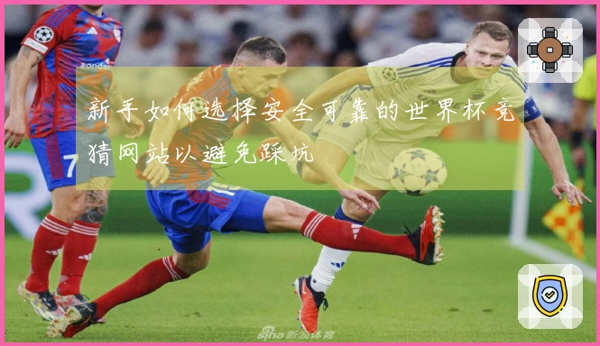 新手如何选择安全可靠的世界杯竞猜网站以避免踩坑