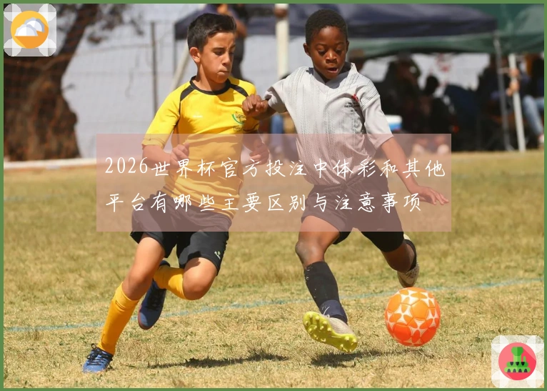 2026世界杯官方投注中体彩和其他平台有哪些主要区别与注意事项