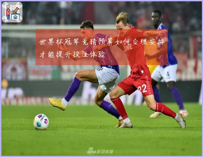 世界杯冠军竞猜预算如何合理安排才能提升投注体验
