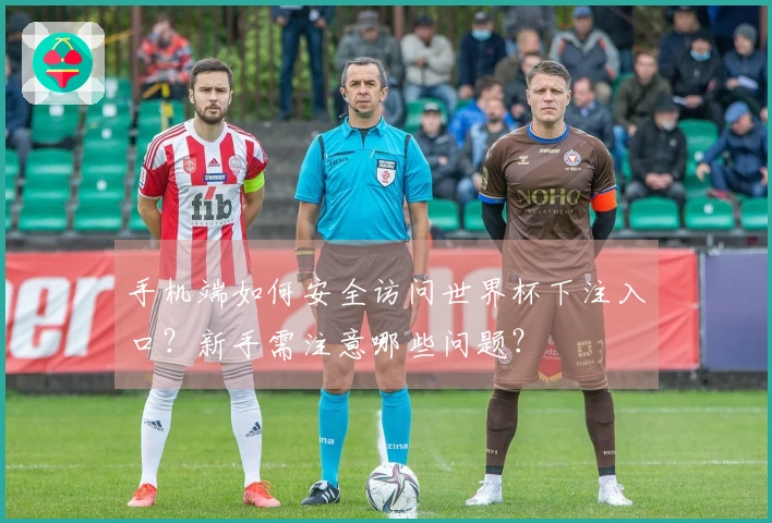 手机端如何安全访问世界杯下注入口？新手需注意哪些问题？