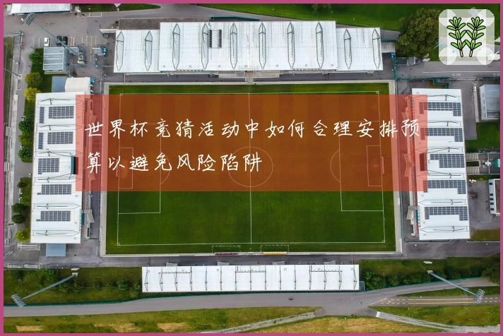 世界杯竞猜活动中如何合理安排预算以避免风险陷阱