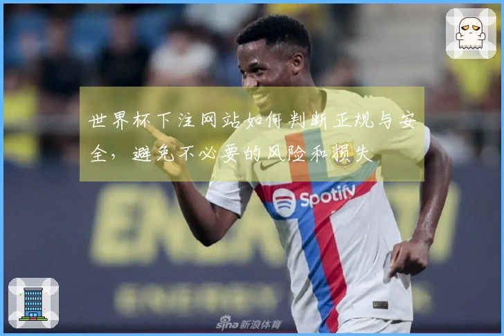 世界杯下注网站如何判断正规与安全，避免不必要的风险和损失