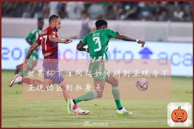 世界杯下注网站如何辨别正规与不正规的区别和要点