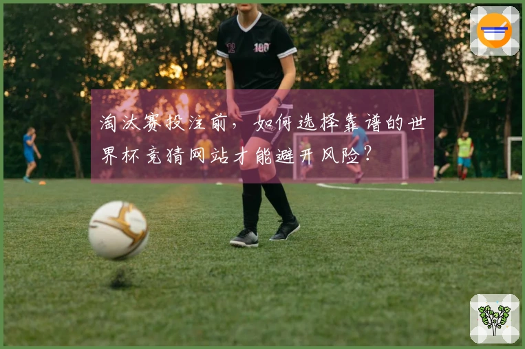 淘汰赛投注前，如何选择靠谱的世界杯竞猜网站才能避开风险？