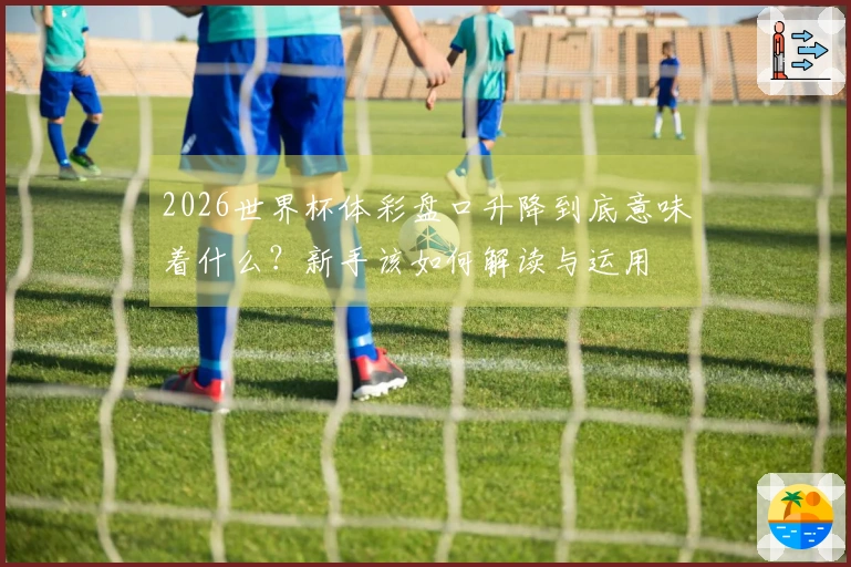 2026世界杯体彩盘口升降到底意味着什么？新手该如何解读与运用