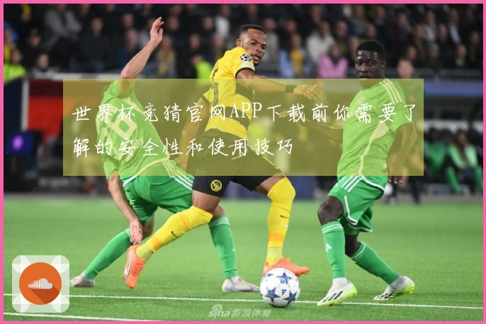 世界杯竞猜官网APP下载前你需要了解的安全性和使用技巧