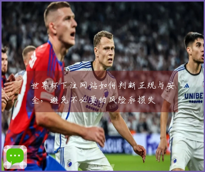 世界杯下注网站如何判断正规与安全，避免不必要的风险和损失