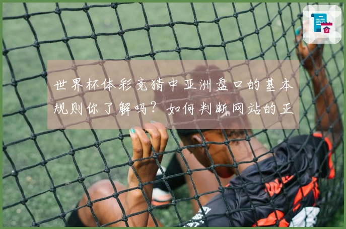 世界杯体彩竞猜中亚洲盘口的基本规则你了解吗？如何判断网站的正规性？