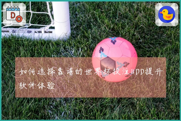 如何选择靠谱的世界杯投注app提升软件体验