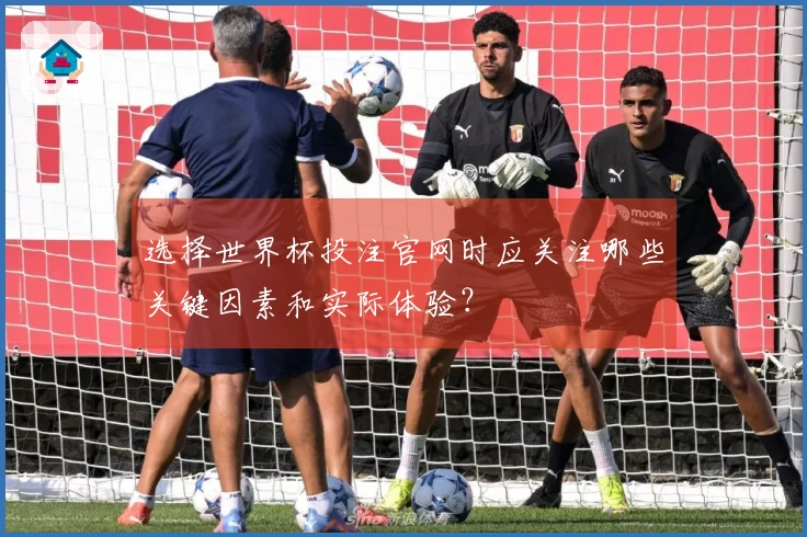 选择世界杯投注官网时应关注哪些关键因素和实际体验？