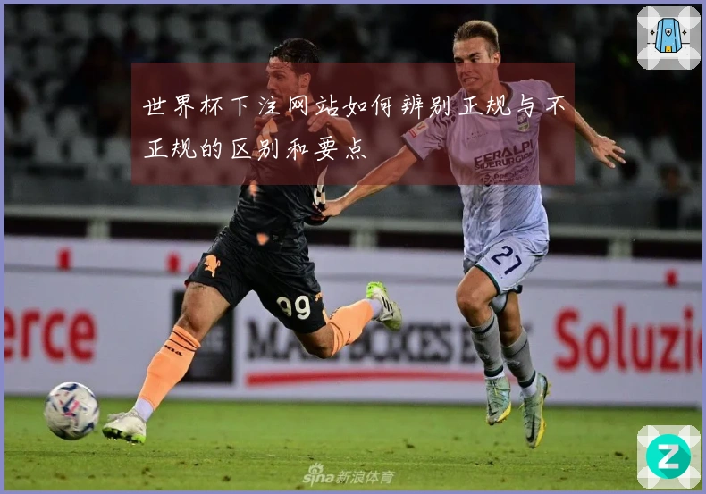 世界杯下注网站如何辨别正规与不正规的区别和要点