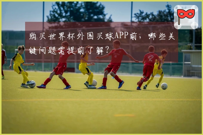购买世界杯外围买球APP前，哪些关键问题需提前了解？